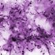 A photomicrograph of the rod-shaped bacteria Mycobacterium tuberculosis, responsible for its namesake disease.